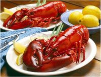 Cùng nước mắm Nét Việt chọn mua hải sản khi đi biển